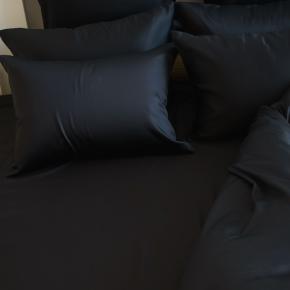 Постельное белье евро (200х220; 50х70 - 2 шт; 240х260) Black Brilliant Grass - Черное КПБ