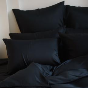 Постельное белье евро (200х220; 50х70 - 2 шт; 180х200х40) Black Brilliant Grass - Черное