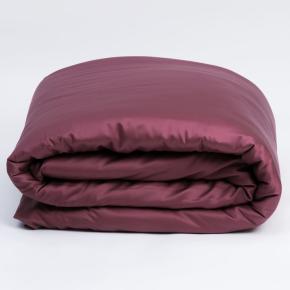 Постельное белье евро (200х220; 50х70 - 2 шт; 160х200х40) Purple Brilliant Grass - Пурпурный премиум сатин