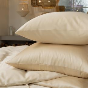 КПБ слоновая кость евро (200х220; 70х70 - 2 шт; 180х200x40) Vanilla Brilliant Grass - Бежевое