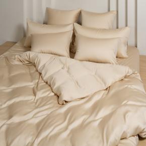 КПБ экрю евро (200х220; 50х70 - 2 шт; 180х200x40) Vanilla Brilliant Grass - Бежевое