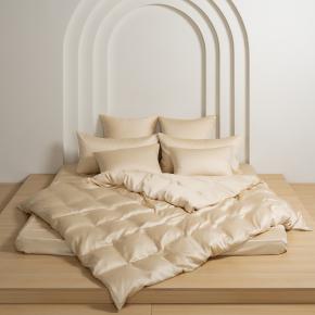 Постельное белье качественное евро (200х220; 70х70 - 2 шт; 180х200x40) Vanilla Brilliant Grass - Бежевое от German Grass