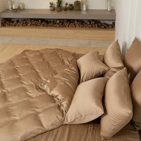 КПБ полуторный хорошее качество (150х200; 50х70 - 2 шт; 160х200x40) Sand Brilliant Grass - Песочный