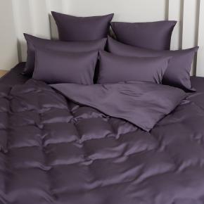 КПБ полуторный (150х200; 50х70 - 2 шт; 240х260) Violet Brilliant Grass - Фиолетовое