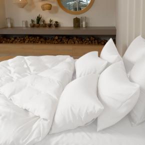 КПБ евро (200х220; 50х70 - 2 шт; 70х70 - 2 шт; 160х200x40) Arctic White Brilliant Grass - Белое