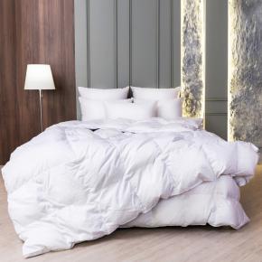 Одеяло с бортиком объемное 200х220 White Family Down 100% пух - теплое (1100 гр.) - Фото 4