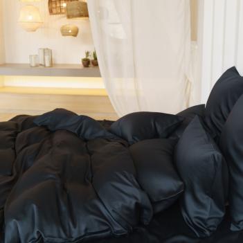 Постельное белье элитное евро (200х220; 50х70 - 2 шт; 240х260) Black Brilliant Grass - Черное