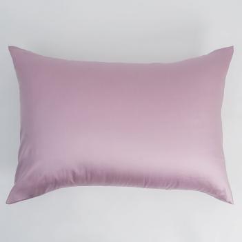Постельное белье семейное (150х200 -2 шт; 50х70 - 2 шт; 160х200х40) Lilac Brilliant Grass - Лиловое 100% тенсель