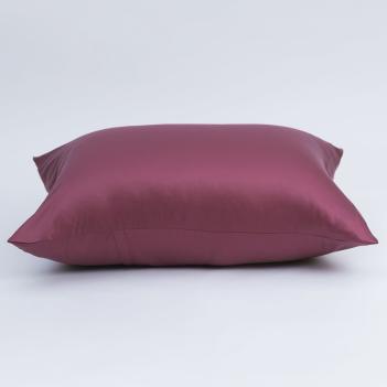 Комплект наволочек винных шелковистые (50х70 - 2 шт.) Purple Brilliant Grass - Пурпурный