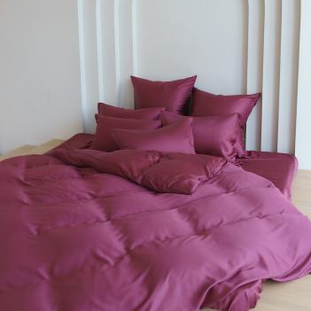 Пододеяльник гладкий 160х220  Purple Brilliant Grass - Пурпурный