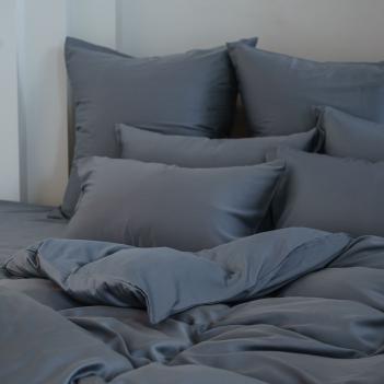 Постельное белье евро (200х220; 50х70 - 2 шт; 180х200х40) Grey Brilliant Grass - Серое от Герман Грасс
