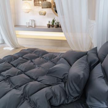 Постельное белье 2 спальное евро (200х220; 50х70 - 2 шт; 180х200х40) Grey Brilliant Grass - Серое