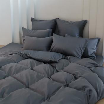 Постельное белье евро (200х220; 50х70 - 2 шт; 180х200х40) Grey Brilliant Grass - Серое