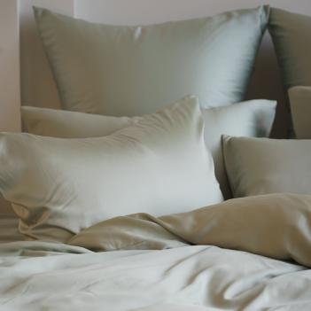 Постельное белье двуспальное (200х220; 70х70 - 2 шт; 160х200х40) Olive Brilliant Grass - Оливковый