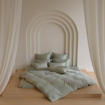 Постельное белье семейное (150х200 - 2 шт; 50х70 - 2 шт; 160х200х40) Olive Brilliant Grass - Оливковый от German Grass
