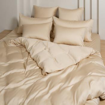 КПБ экрю евро (200х220; 70х70 - 2 шт; 160х200x40) Vanilla Brilliant Grass - Бежевое