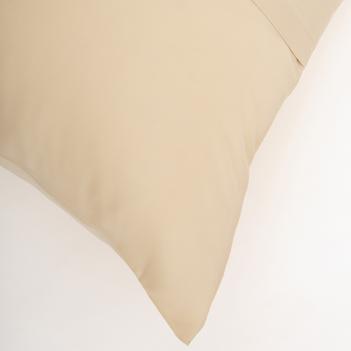 Постельное белье евро (200х220; 50х70 - 2 шт; 240х260) Vanilla Brilliant Grass - Бежевое наволочка на запахе