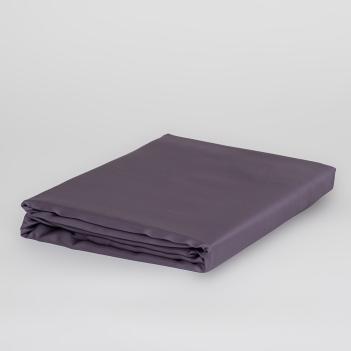 Постельное белье полутороспальное (150х200; 50х70 - 2 шт; 160х200x40) Violet Brilliant Grass - Фиолетовое с простыней на резинке