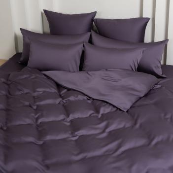 КПБ полуторный (150х200; 50х70 - 2 шт; 160х200x40) Violet Brilliant Grass - Фиолетовое