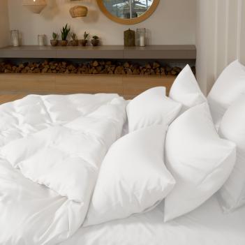 КПБ евро (200х220; 50х70 - 2 шт; 240х260) Arctic White Brilliant Grass - Белое