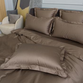 Постельное белье евро хлопковое (200х220; 50х70 - 2 шт; 240х260) Brownie Allure Grass 100% Египетский хлопок - Молочный шоколад