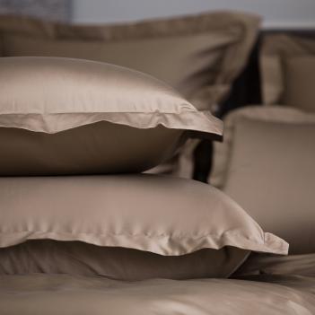 Постельное белье евро (200х220; 50х70 - 2 шт; 240х260) Brownie Allure Grass - Молочный шоколад