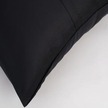 Комплект наволочек классических из хлопка египетского  (50х70 - 2 шт.) Dark Onyx Allure Grass Classic - Черный с синеватым отливом