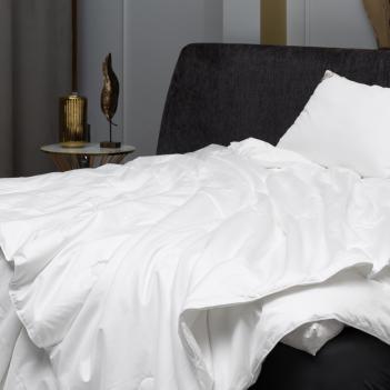 Одеяло 150х200 Luxury Silk Grass шелк - всесезонное (800 гр.) - Фото 6